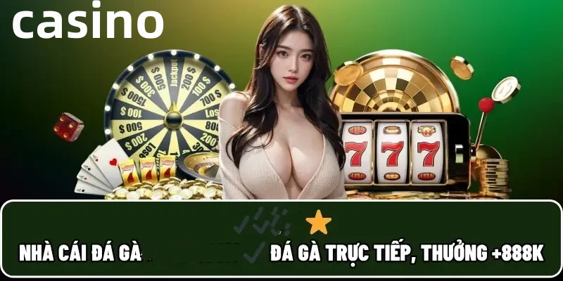 dv88